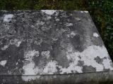 image of grave number 598593
